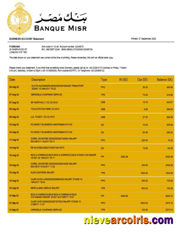 Banque Misr organization checking account statement